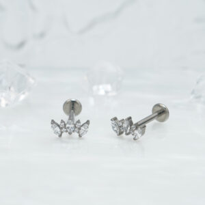 c271f1e9-af68-407a-b4f4-3a44870d16c9.jpg 1pair Of Women's Earrings With Floral Stainless Steel Zircon Earrings Crystal Cluster Bloom