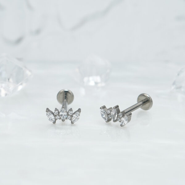 1pair Of Women's Earrings With Floral Stainless Steel Zircon Earrings Crystal Cluster Bloom