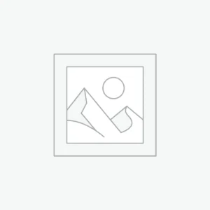 Vestibulum sedarcu nonodio euismod